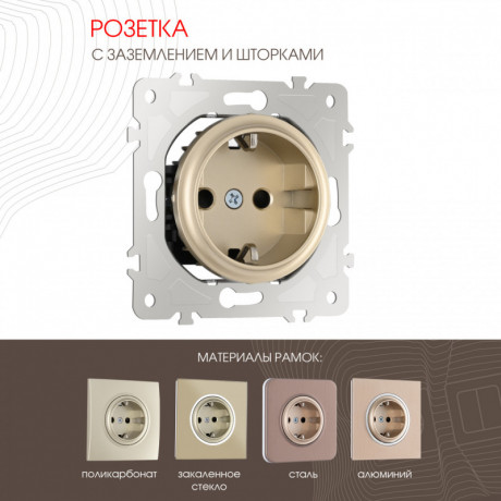 Розетка Arte Milano 202.40-1.shampan