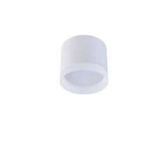 Накладной светильник Favourite 4215-1C