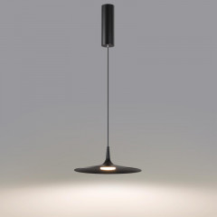 Подвесной светильник Odeon Light 7039/12L