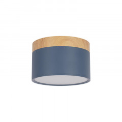 Детский точечный светильник LOFT IT 10162 Blue