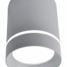Накладной светильник ARTE Lamp A1909PL-1GY