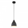 Подвесной светильник ARTE Lamp A2054SP-1BK