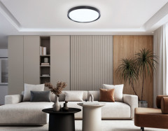 Накладной светильник Ambrella Light FZ1248