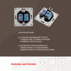 Розетка Arte Milano 202.44-1.shampan