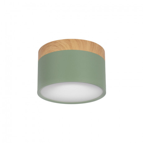 Детский точечный светильник LOFT IT 10162 Green