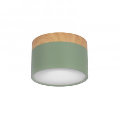 Детский точечный светильник LOFT IT 10162 Green