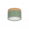 Детский точечный светильник LOFT IT 10162 Green