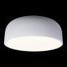 Потолочный детский светильник LOFT IT 10201/480 White