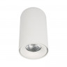 Накладной светильник LOFT IT 10220 White 3000K