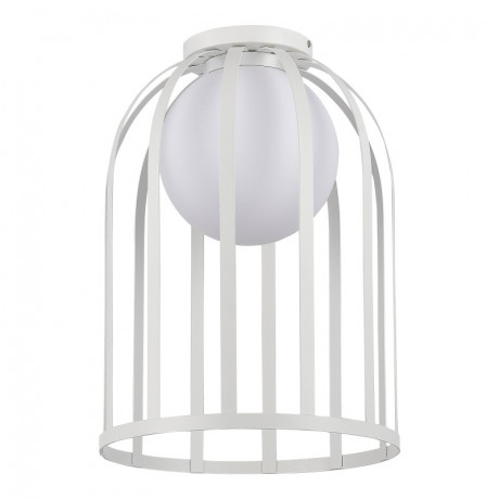 Накладной светильник ST-Luce SL6129.502.01