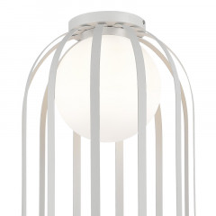 Накладной светильник ST-Luce SL6129.502.01