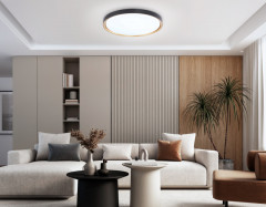 Накладной светильник Ambrella Light FZ1249