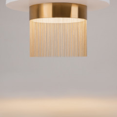 Накладной светильник Maytoni MOD190CL-L18G3K