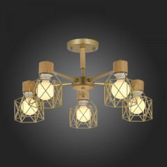 Люстра на штанге Evoluce SLE110402-05