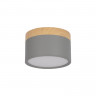 Детский точечный светильник LOFT IT 10162 Grey