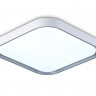 Накладной светильник Ambrella Light FZ1256