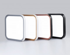 Накладной светильник Ambrella Light FZ1256