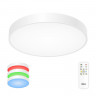 Накладной светильник Citilux CL72495G0