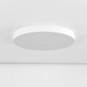 Накладной светильник Citilux CL72495G0