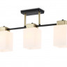 Накладной светильник Ambrella Light TR303046