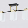Накладной светильник Ambrella Light TR303046