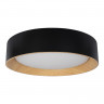 Накладной светильник LOFT IT 10202 Black