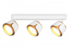 Спот Ambrella Light TN71235