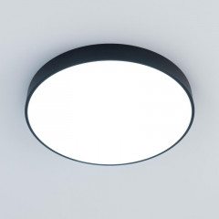 Накладной светильник Citilux CL72495G1