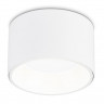 Накладной светильник Ambrella Light TN52892