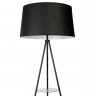 Торшер Citilux CL806021