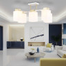 Накладная люстра Ambrella Light TR303047