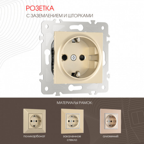 Розетка Arte Milano 203.40-1.shampan