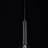 Подвесной светильник Maytoni T021-01-B