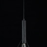 Подвесной светильник Maytoni T021-01-B