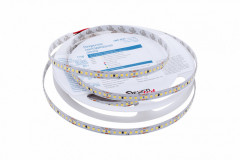 Лента DesignLed DSG2168-24-W-33