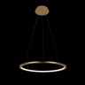 Подвесной светильник LOFT IT 10014M