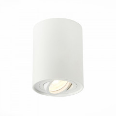 Накладной светильник ST-Luce ST108.517.01