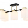 Накладная люстра Ambrella Light TR303048