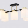 Накладная люстра Ambrella Light TR303048