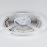 Лента DesignLed DSG2168-24-WW-33