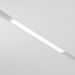 Светильник на шине Maytoni Technical TR030-2-12W4K-W