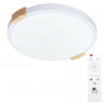 Накладной светильник ARTE Lamp A2684PL-72WH