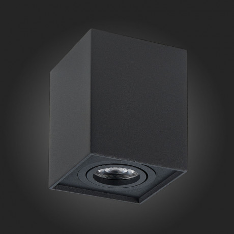 Накладной светильник ST-Luce ST109.407.01