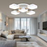 Накладная люстра Ambrella Light FL4881