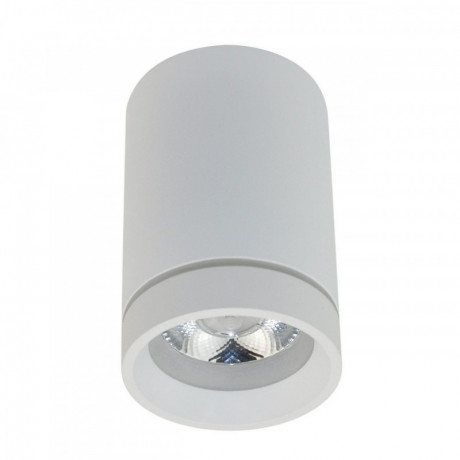 Накладной светильник APLOYT APL.0054.09.10