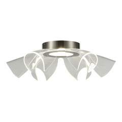 Накладной светильник ST-Luce SL6235.102.20