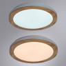 Накладной светильник ARTE Lamp A2685PL-72WH