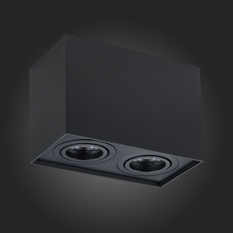 Накладной светильник ST-Luce ST109.407.02