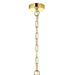 Подвесная люстра Favourite 2811-12P