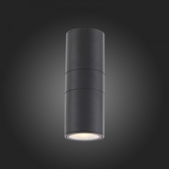 Светильник настенный ST-Luce SL074.401.02